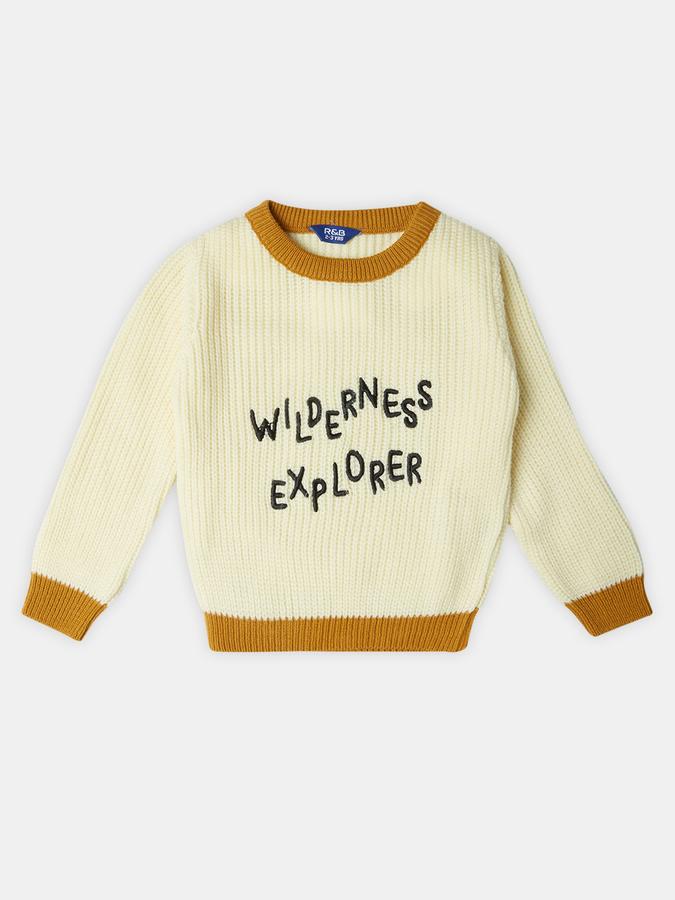 R&B Boys' Beige Printed Sweater