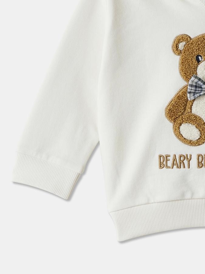 Boys Cotton Relaxed Fit Hooded Applique Hoodie
