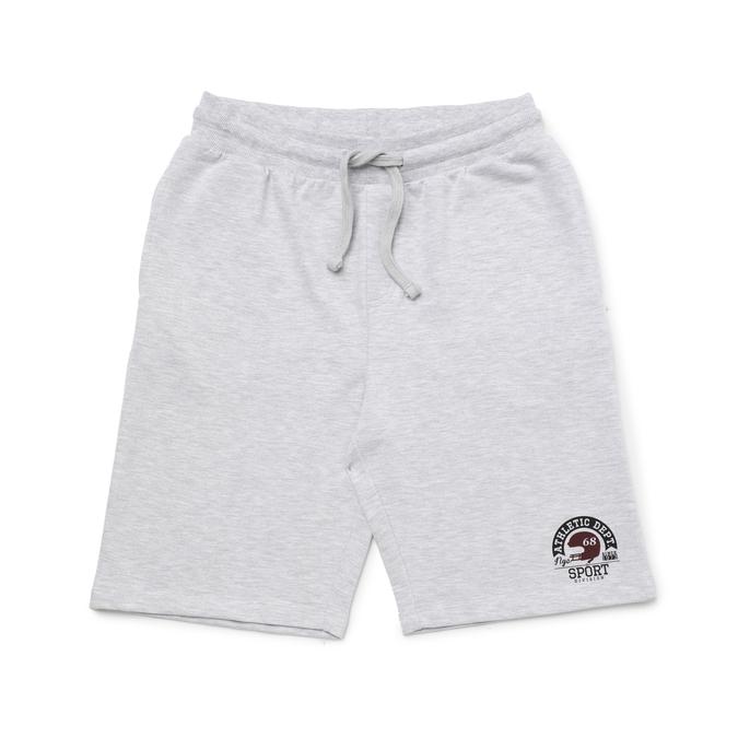 R&B Regular Fit Grey Shorts image number 0