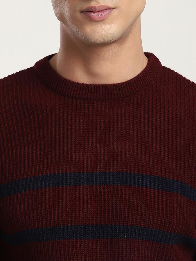 Men Knit Regular Fit Crew Neck Striped Sweater