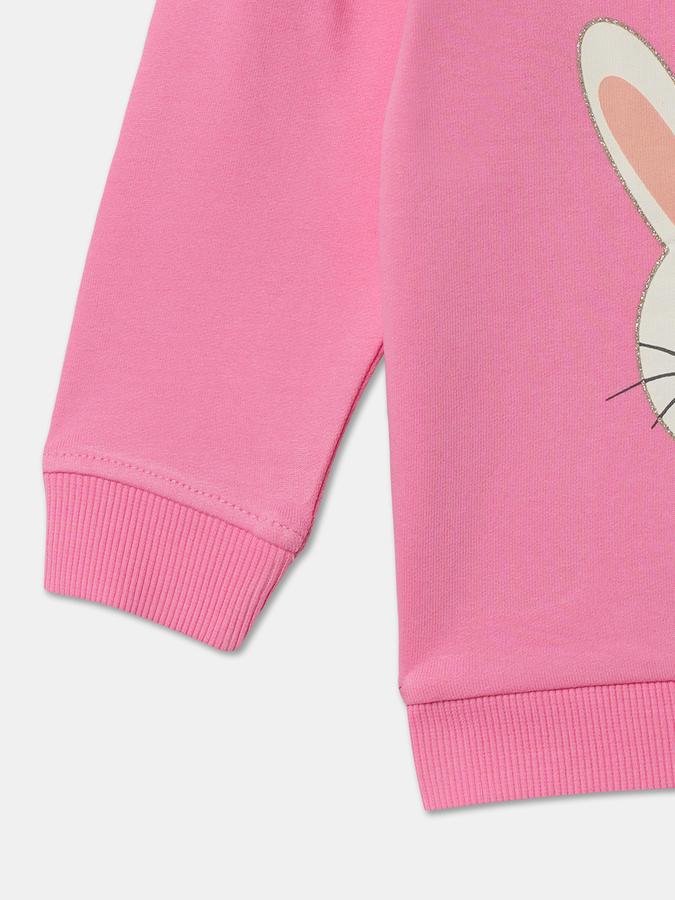 Girls Graphic Regular Fit Full Sleeve Crew Neck SweaT-Shirt