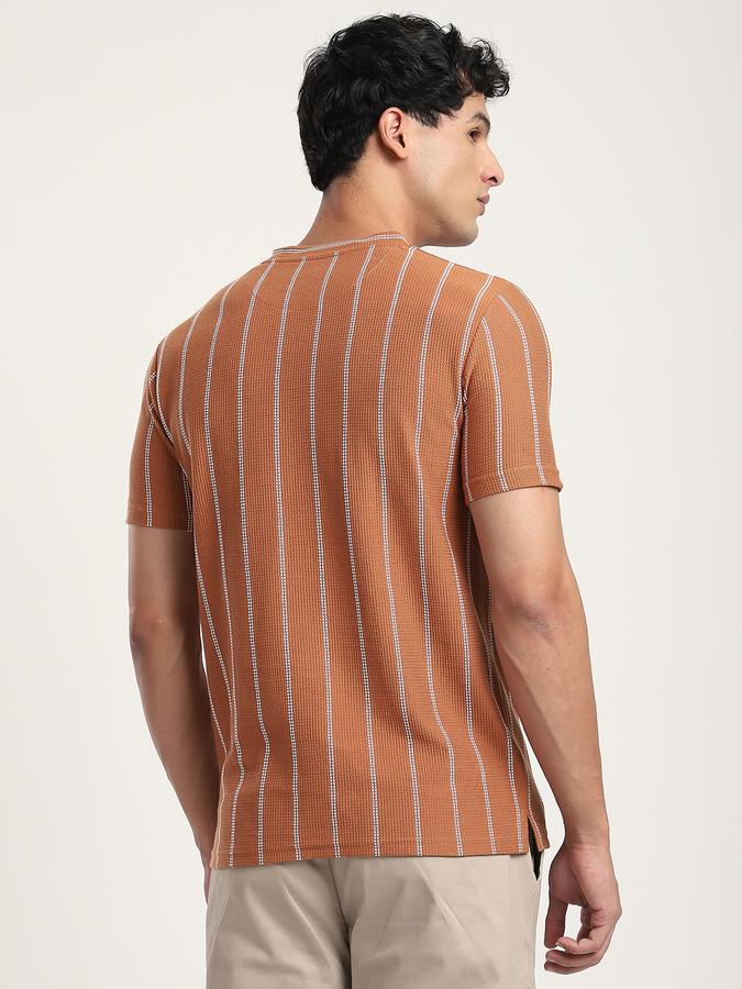 Men Cotton Regular Fit Crew Neck Striped T-shirt