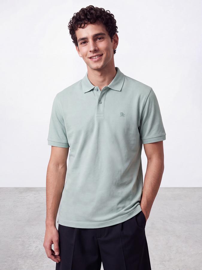 R&B Men Dark Green Solid Short Sleeves Pure Cotton Polo Collar Tshirt