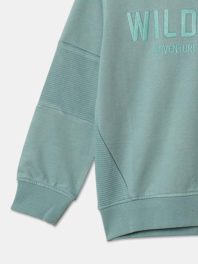 Boys Cotton Regular Fit Hooded Embroidered Hoodie