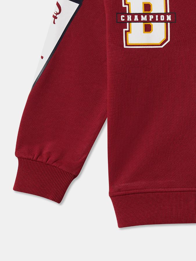 Boys Relaxed Fit Full Sleeve Polo Collar SweaT-Shirt