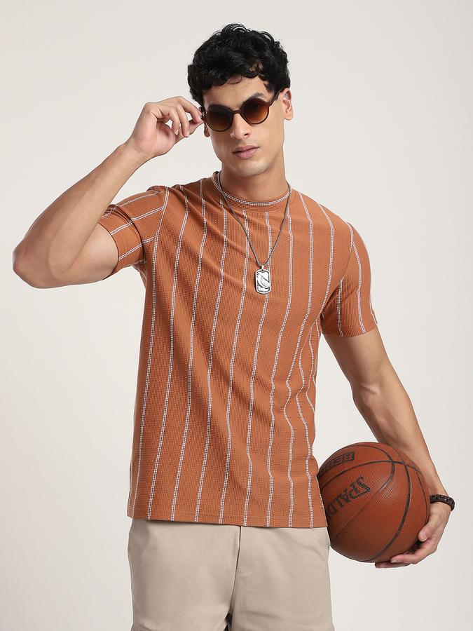 Men Cotton Regular Fit Crew Neck Striped T-shirt