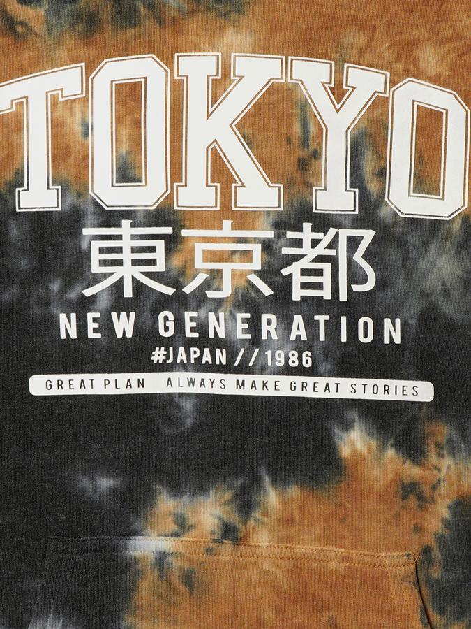 Boys Cotton Blend Regular Fit Hooded Graphic Hoodie