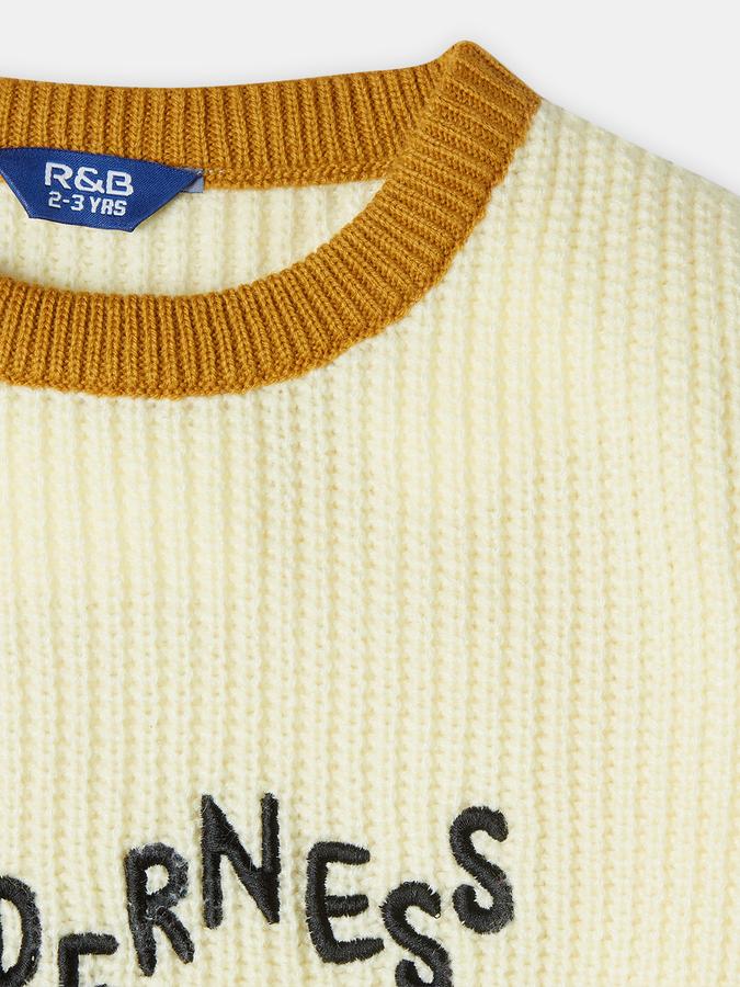 R&B Boys' Beige Printed Sweater