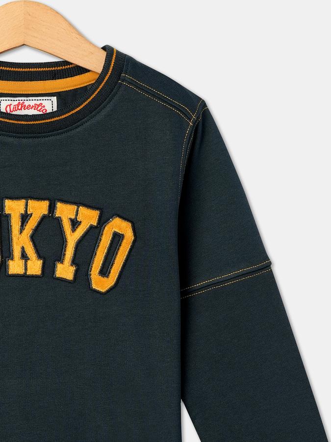 Boys Cotton Regular Fit Crew Neck Applique Sweatshirt