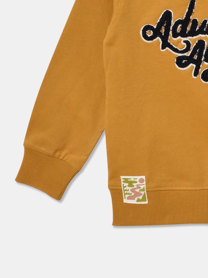 Full Sleeve Solid Boys Sweatshirt image number 3
