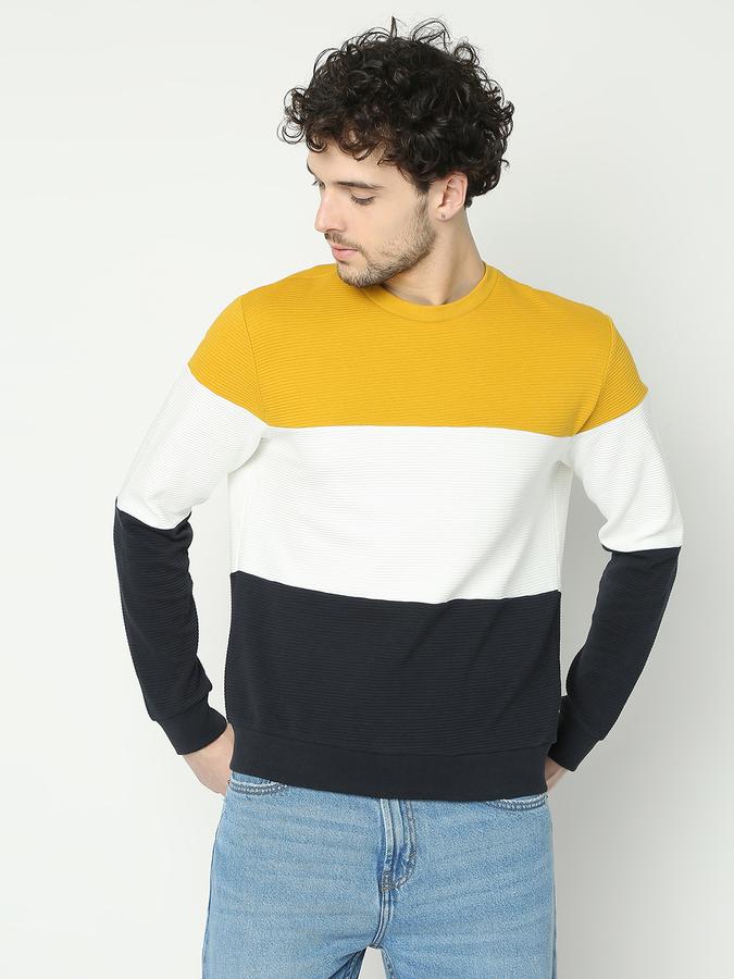 Men Colourblock Regular Fit Sweatshirt