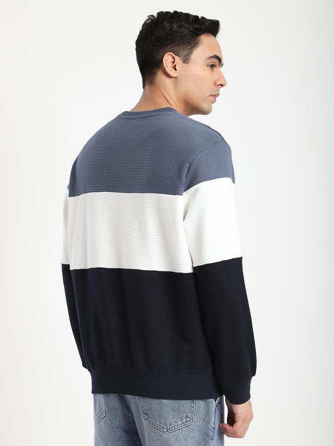 Men Cotton Regular Fit Crew Neck Color Block Sweatshirt