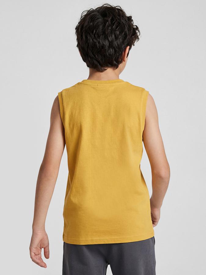 R&B Yellow Graphic Print Boys Round Neck Regular Fit Short Sleeves T-Shirt 