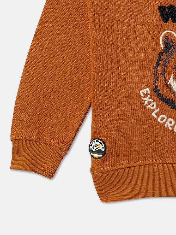 Full Sleeve Color Block Boys Sweatshirt image number 3