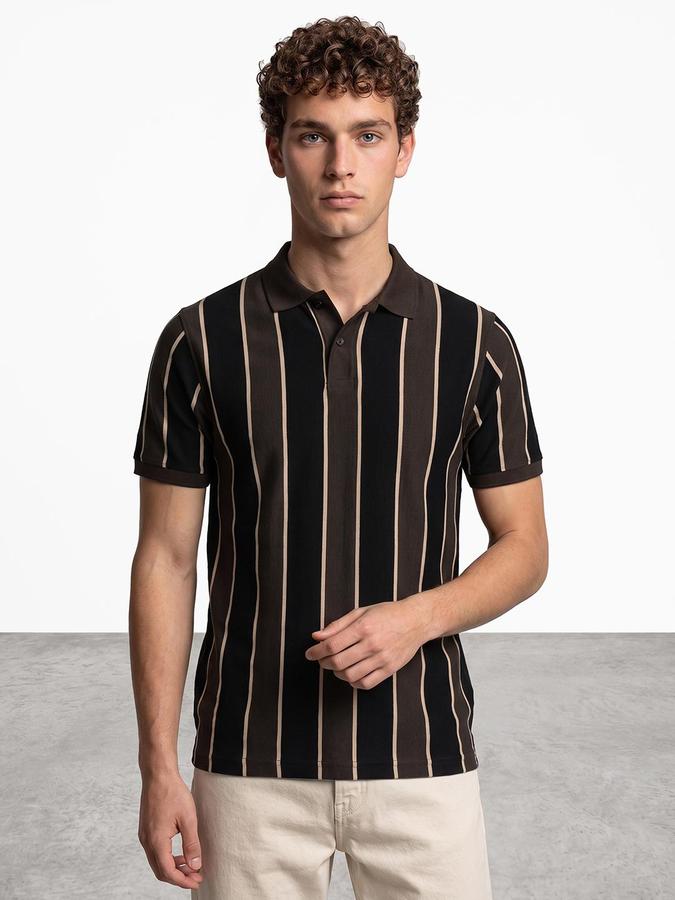R&B Men Brown Striped Short Sleeves Polo Collar Pure Cotton T-Shirt