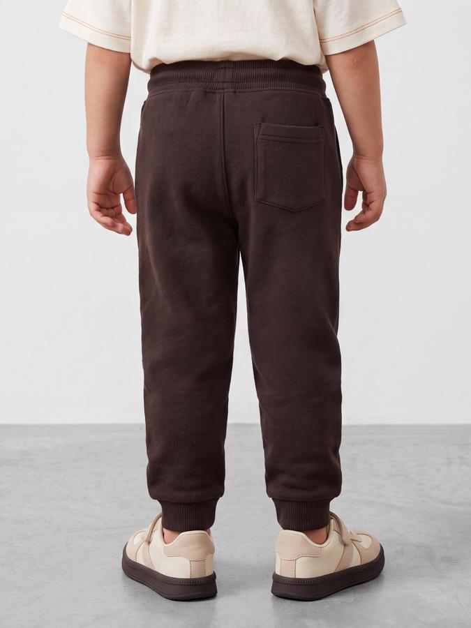 R&B Boys Brown Graphic Print Elasticated waist Jogger Pant 