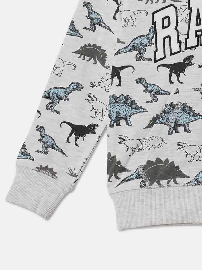 Boys Cotton Hooded Zip Up Graphic Jacket