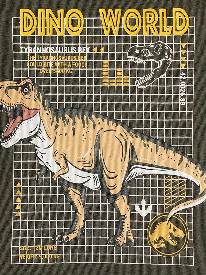 Boys Cotton Regular Fit Crew Neck Graphic T-shirt