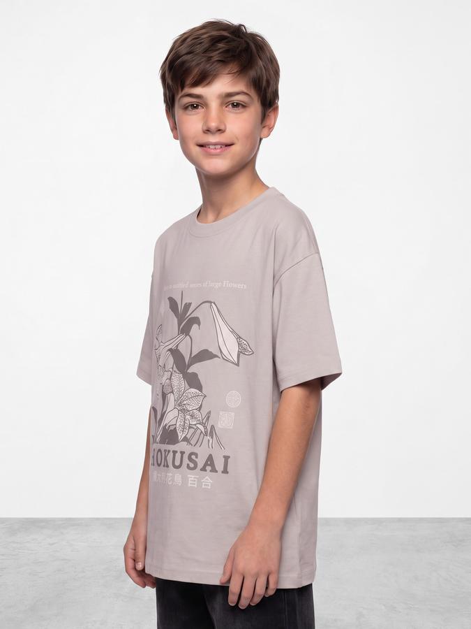 R&B Boys Grey Graphic Print Short Sleeves Round Neck Pure Cotton T-Shirt