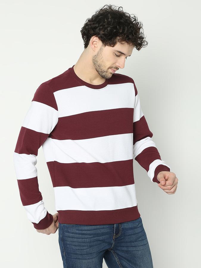 Men Cotton Regular Fit Crew Neck Stripes Sweatshirt