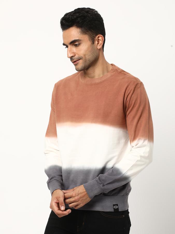 Men Regular Fit Tie & Dye Sweatshirt data-index=