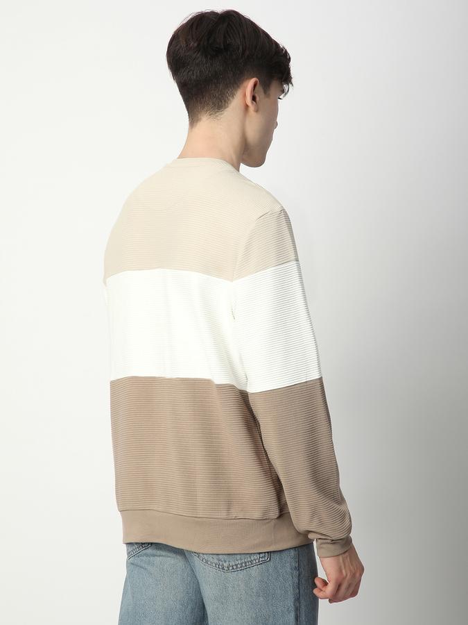 Men Cotton Regular Fit Crew Neck Colour Block Sweatshirt