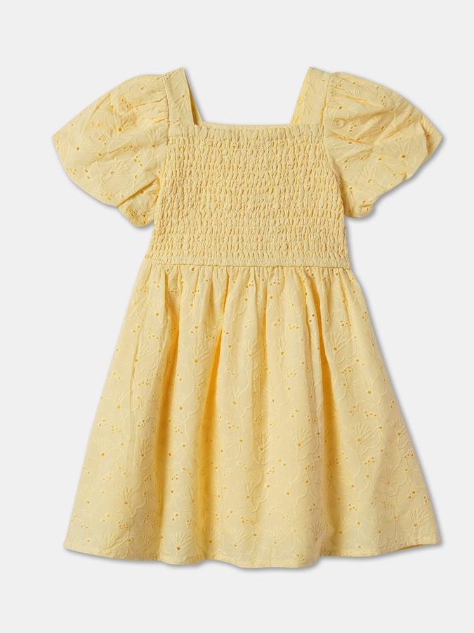 Schiffli Embroidered A-Line Dress