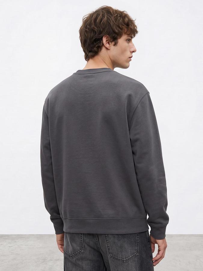R&B Men Grey Graphic Print Round Neck Long Sleeves Sweatshirt