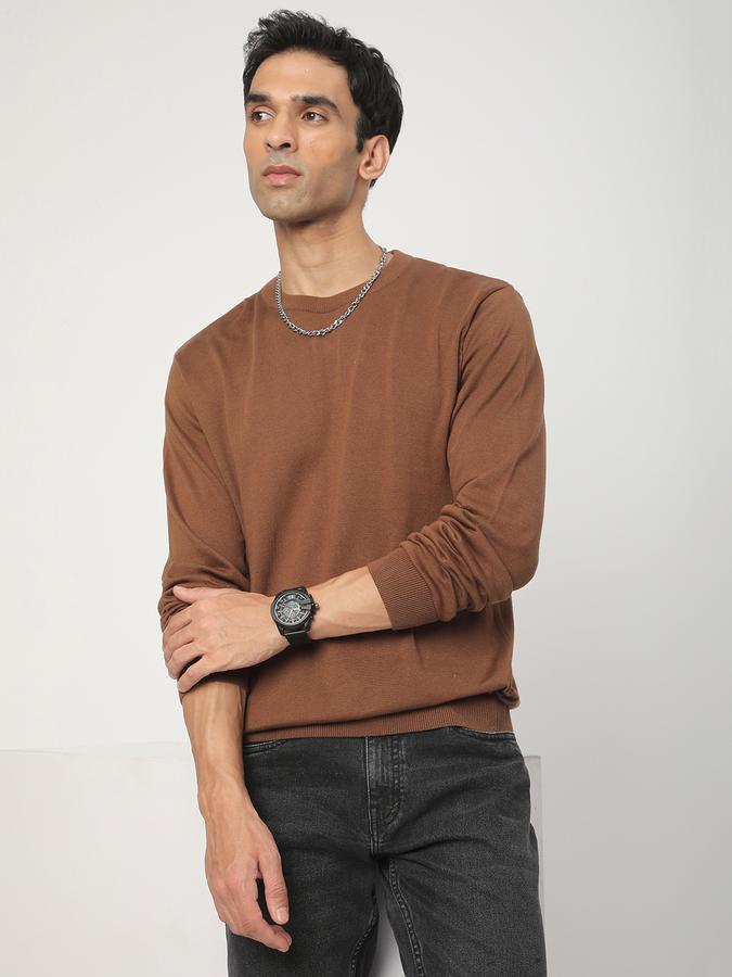Men Cotton Regular Fit Crew Neck Solid Sweater