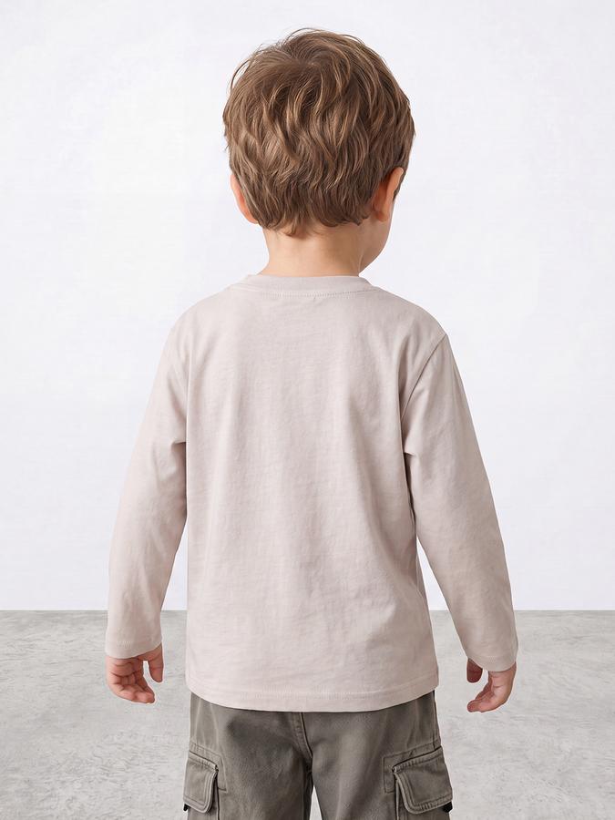 R&B Boys Grey Graphic Print Short Sleeves Tshirt