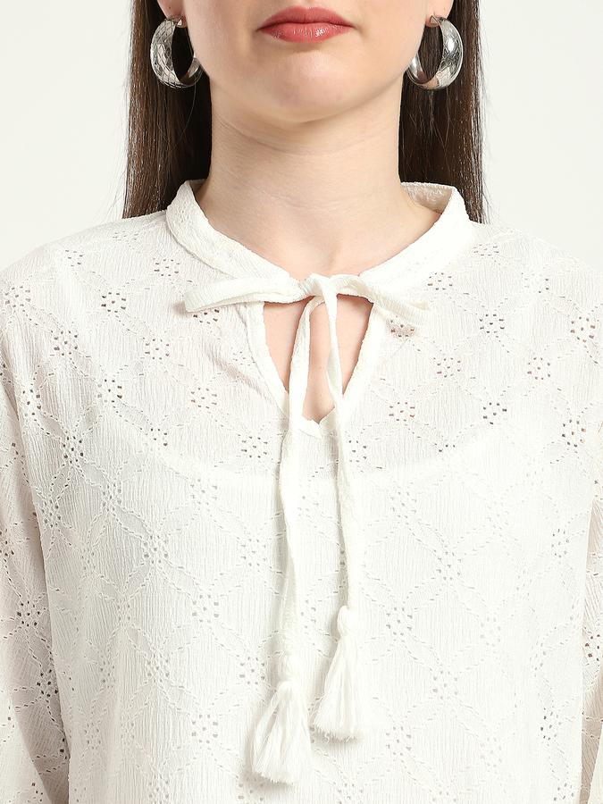 Women Polyester A-Line Short Schiffli Dress