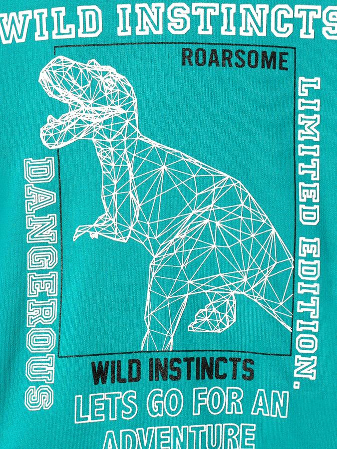 Boys Cotton Regular Fit Hooded Graphic Hoodie