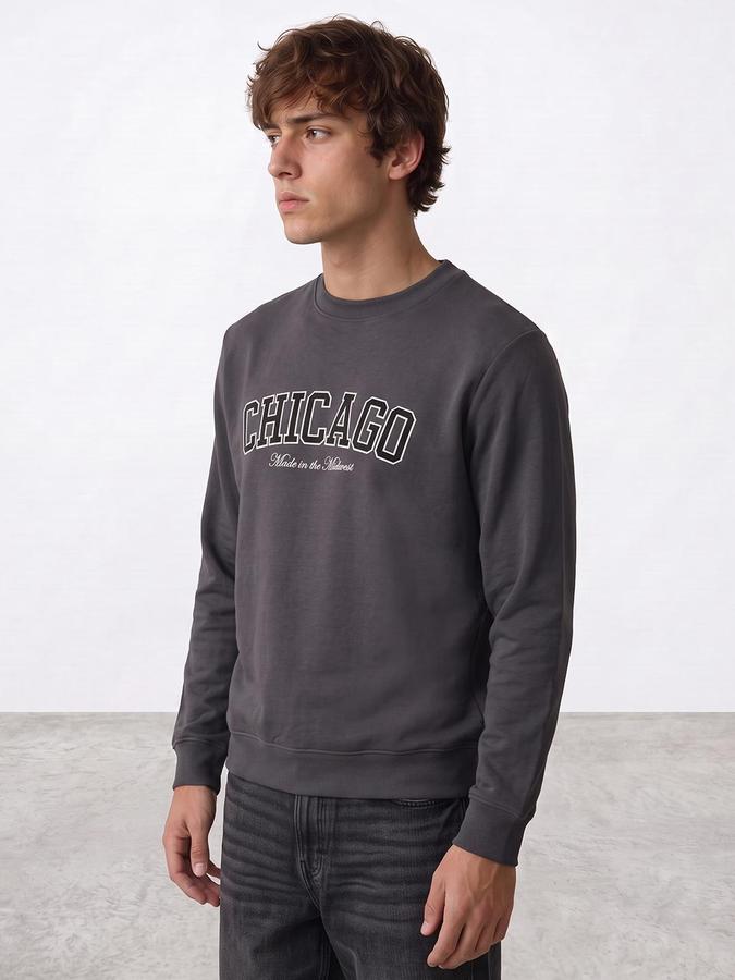 R&B Men Grey Graphic Print Round Neck Long Sleeves Sweatshirt