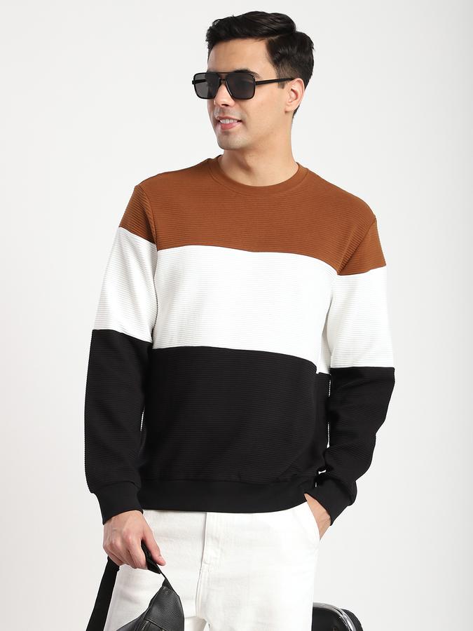 Men Cotton Regular Fit Crew Neck Color Block Sweatshirt
