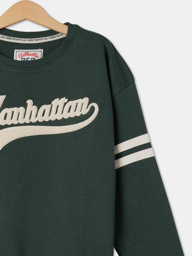 Boys Cotton Regular Fit Crew Neck Applique Sweatshirt