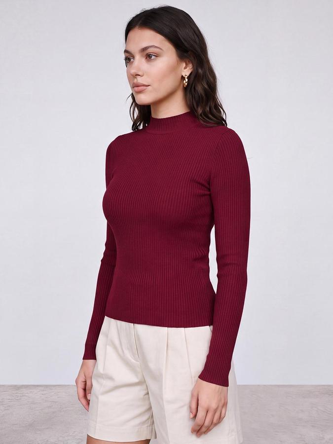 R&B Women Burgundy Ribbed High Neck Long Sleeves Fitted Top