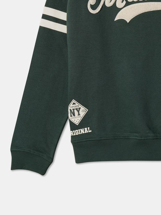 Boys Cotton Regular Fit Crew Neck Applique Sweatshirt