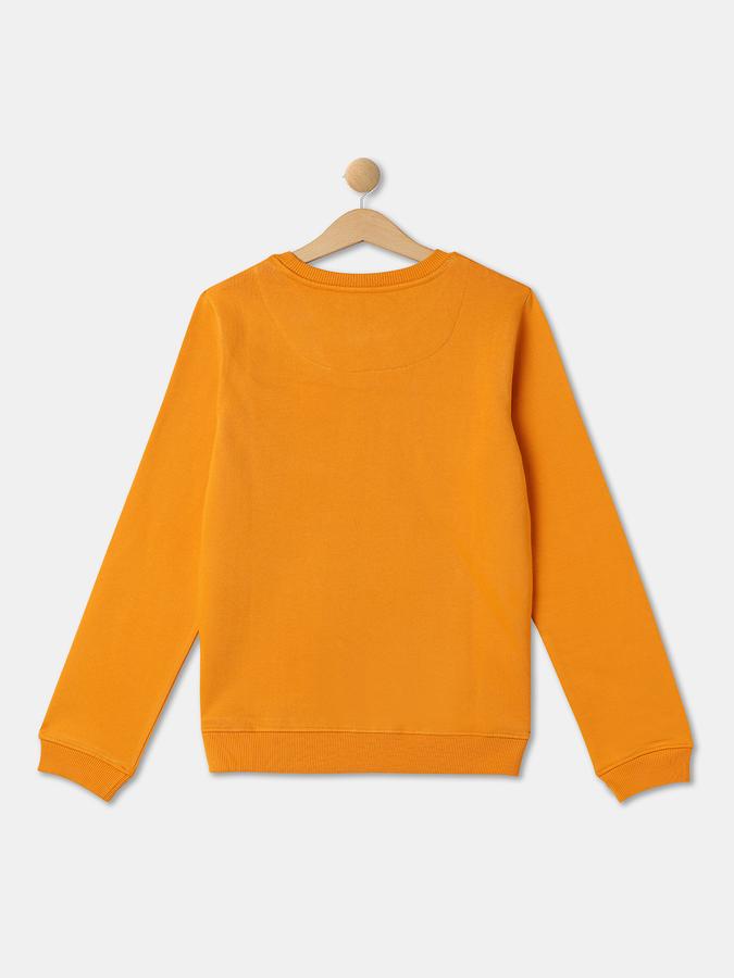 Girls Cotton Regular Fit Crew Neck Graphic Sweatshirt