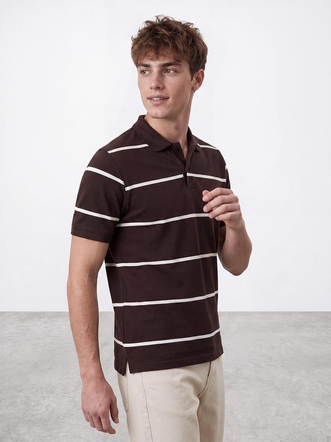 R&B Men Brown Striped Short Sleeves Polo Tshirt