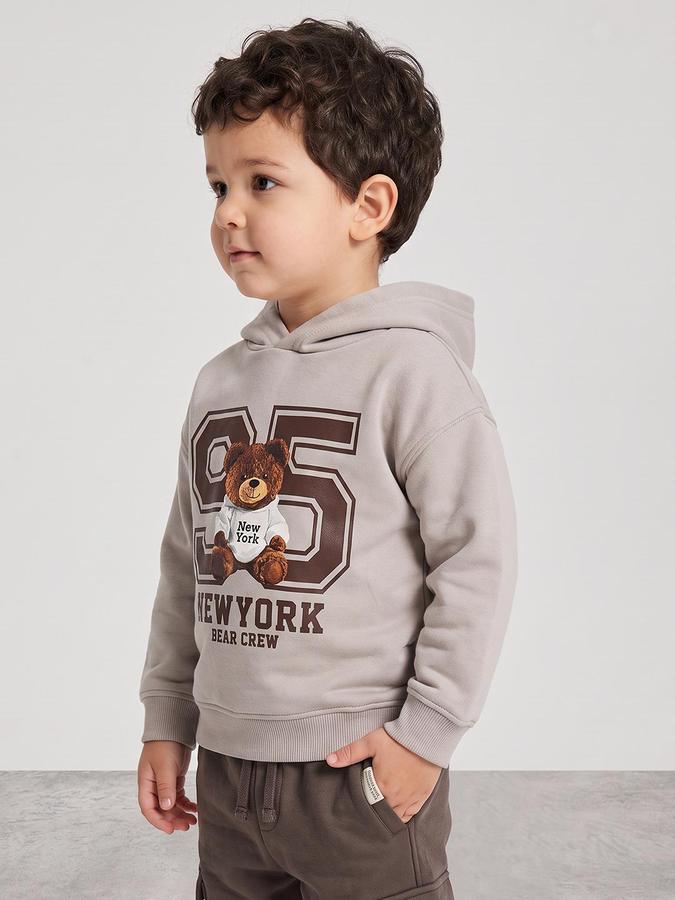 R&B Boys Grey Graphic Print Hooded Long Sleeves Sweatshirt
