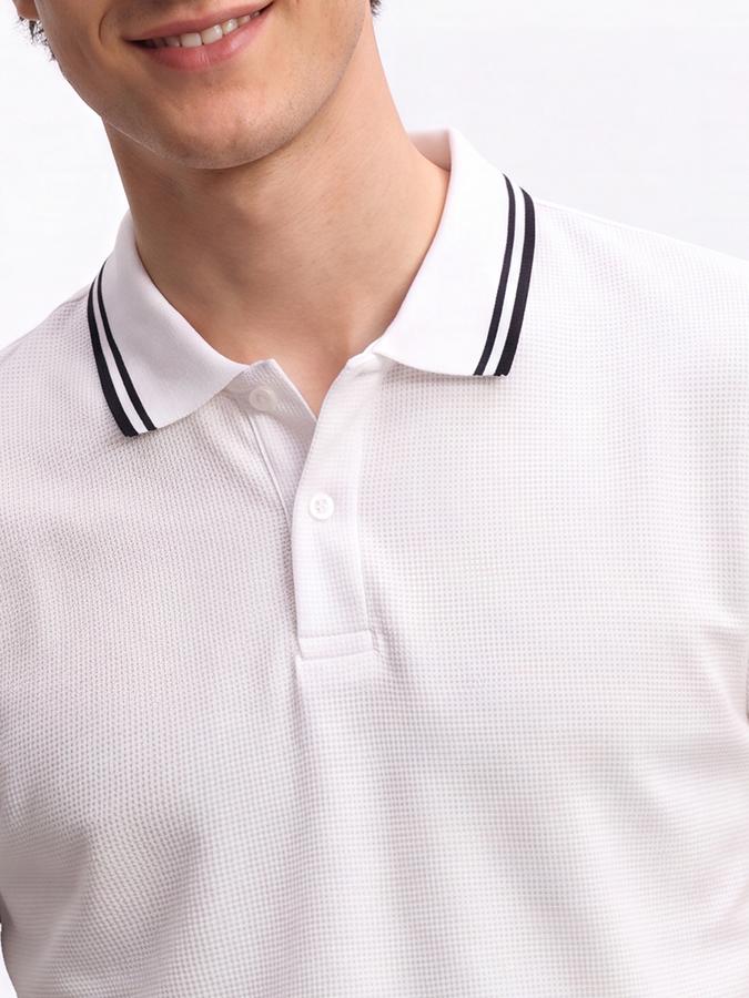 R&B Men White Textured Short Sleeves Tipping Polo Collar Tshirt