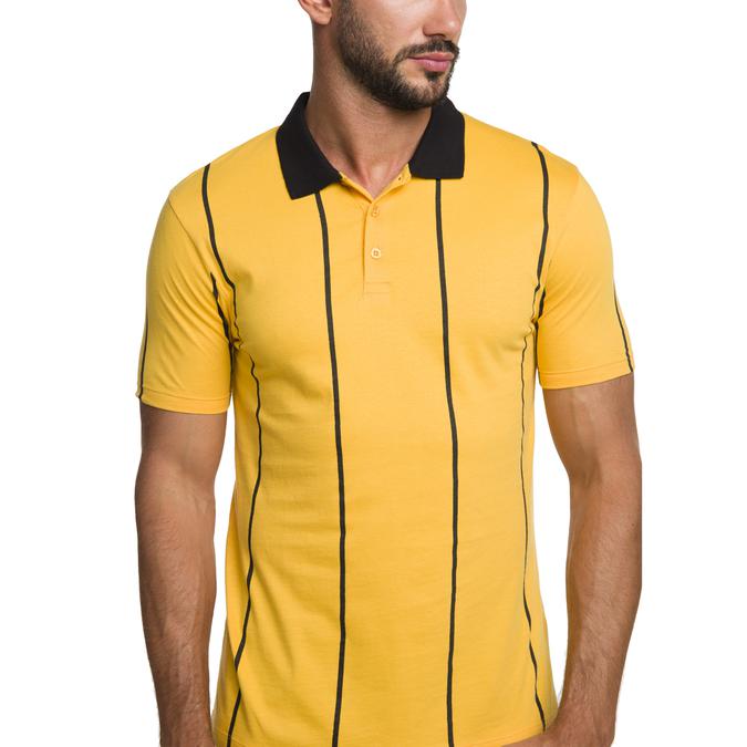 R&B Polo Collar Striped Yellow Polo T-Shirt image number 3