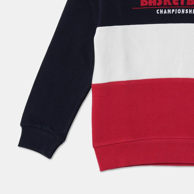 Boys Cotton Regular Fit Crew Neck Colour-block Sweatshirt