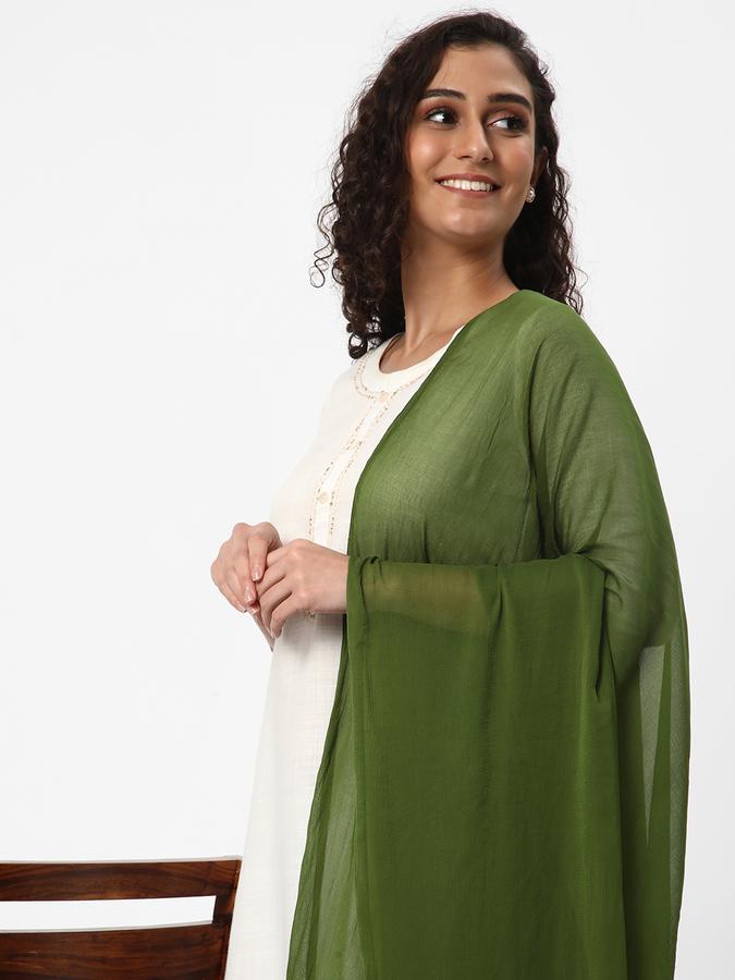 R&B Women  Olive Dupattas
