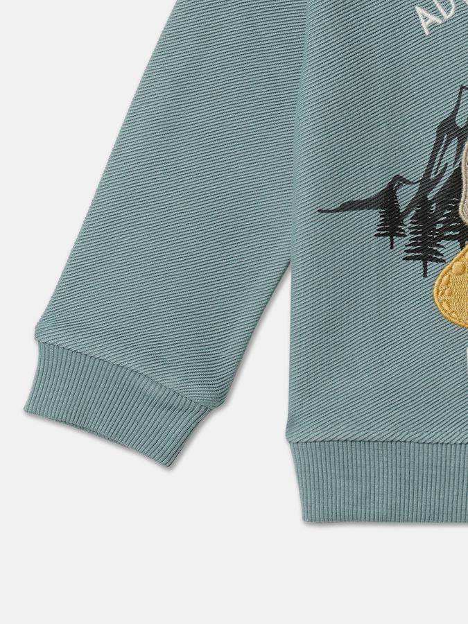 Full Sleeve Graphic Print Baby Boys Sweatshirt image number 3