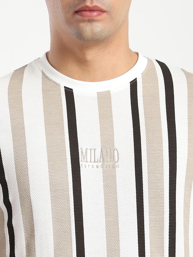 Men Cotton Regular Fit Crew Neck Striped T-shirt