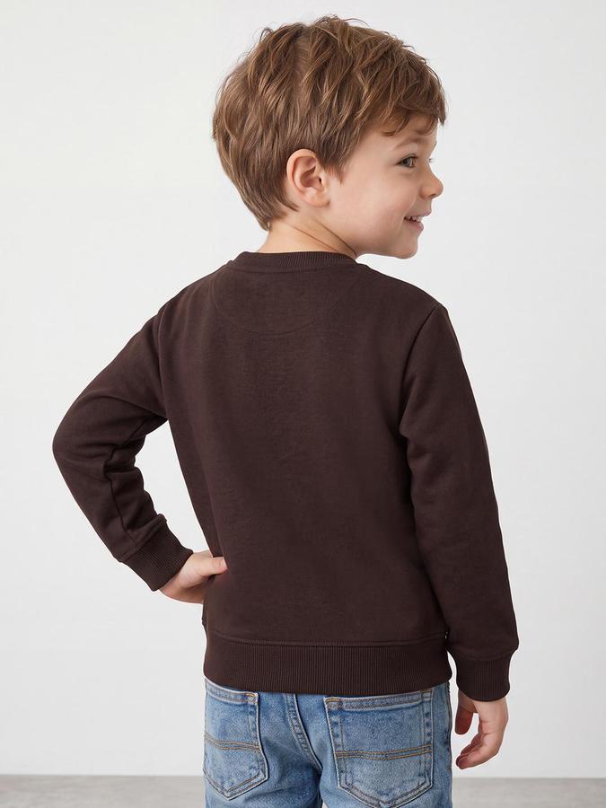 R&B Boys Brown Bold Graphic Round Neck Long Sleeves Regular Fit Sweatshirt