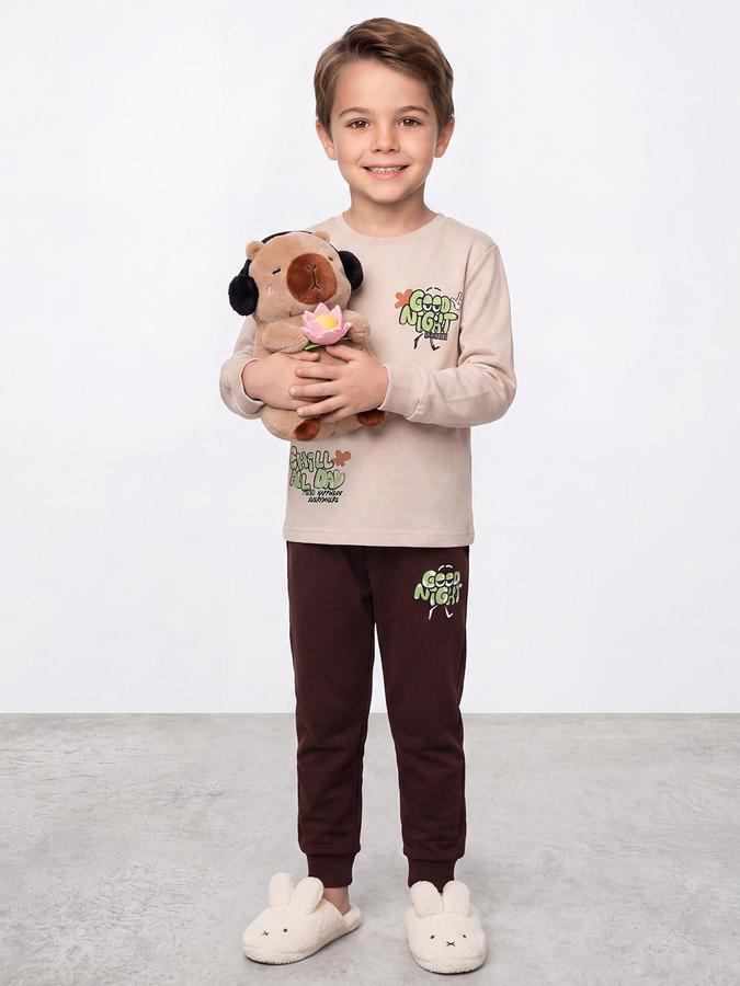 R&B Boys Brown Graphic Print Round Neck Sweatshirt and Joggers Set