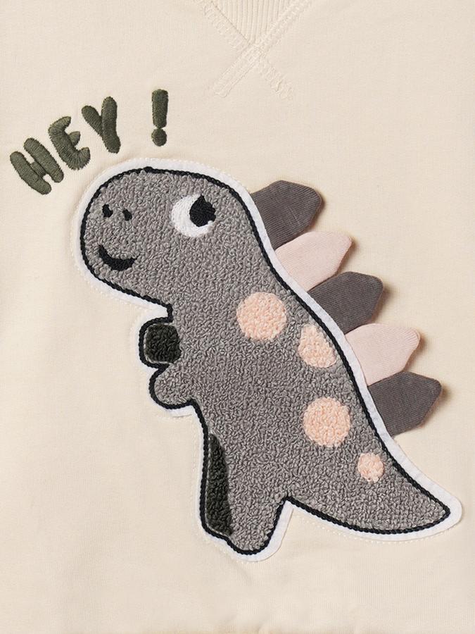 Boys Cotton Regular Fit Crew Neck Applique Sweatshirt