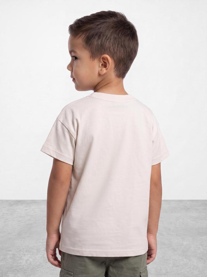 R&B Boys Grey Graphic Print Short Sleeves Round Neck Pure Cotton T-Shirt